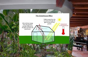 greenhouse effect on flooring