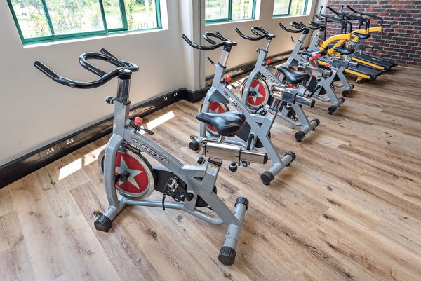 Vinyl gym flooring