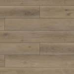 Galaxy LVT Andromeda