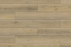Galaxy LVT Cosmos