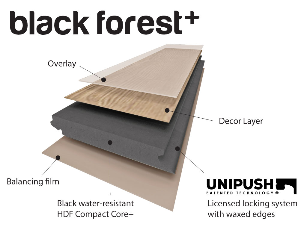 Black Forest Composition