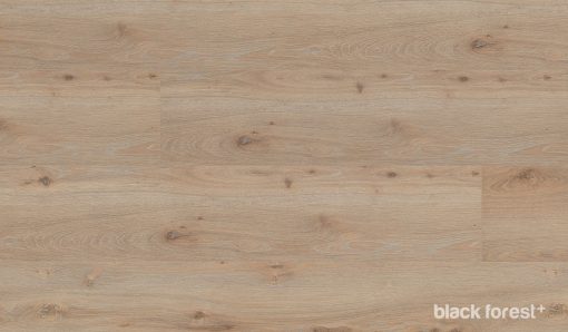 Black-Forest-Plus-Maple-Mist