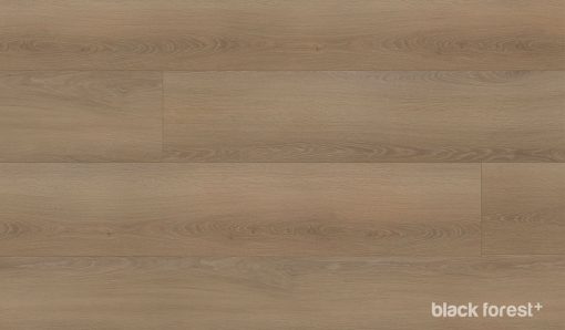 Black-Forest-Plus-Wych-Elm